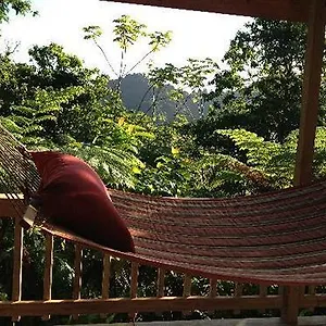  Lodge Roots Jungle Retreat Dominica